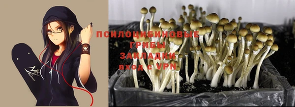 стаф Белокуриха