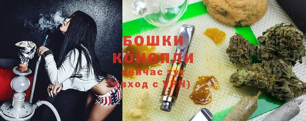 стаф Белокуриха