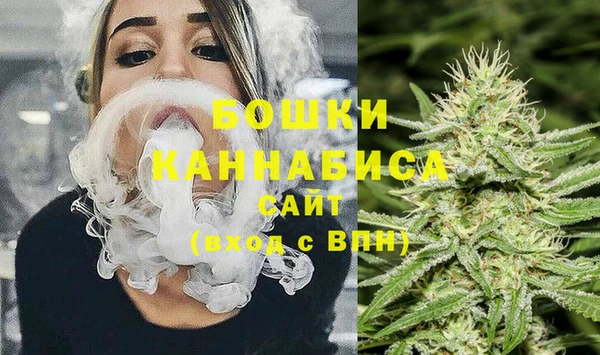 стаф Белокуриха