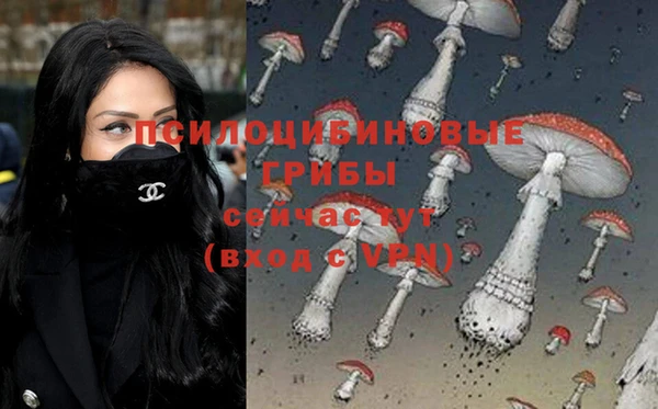 МДПВ Снежинск