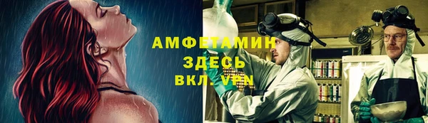 стаф Белокуриха