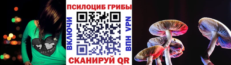 Галлюциногенные грибы Magic Shrooms  купить наркоту  Горняк 