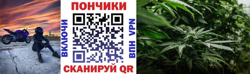 Бошки Шишки гибрид  Горняк 